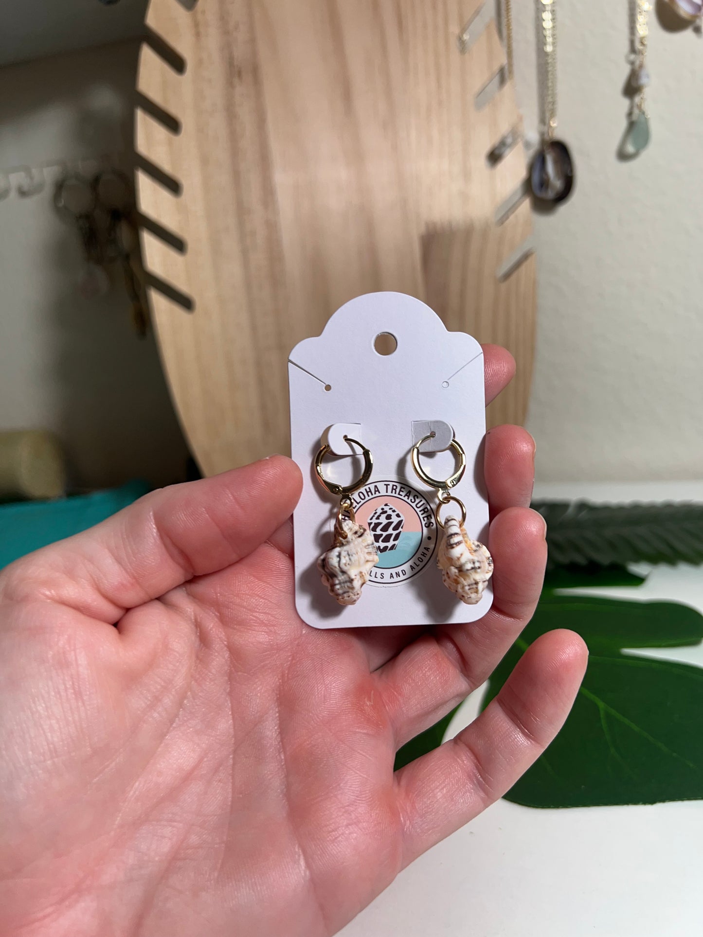 Triton Shell Huggie Earrings