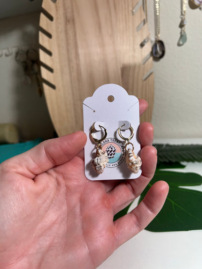 Triton Shell Huggie Earrings