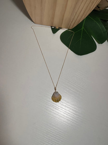 Rare Unique Sunrise Shell Necklace - Gold Filled
