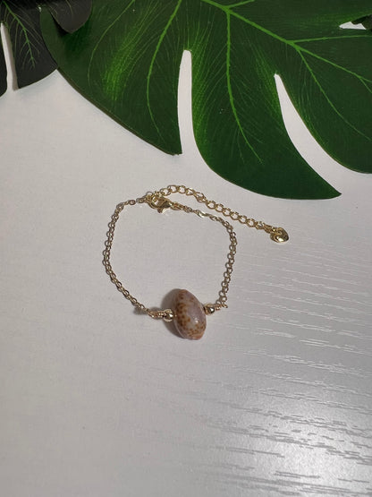 Porous Cowry Bracelet
