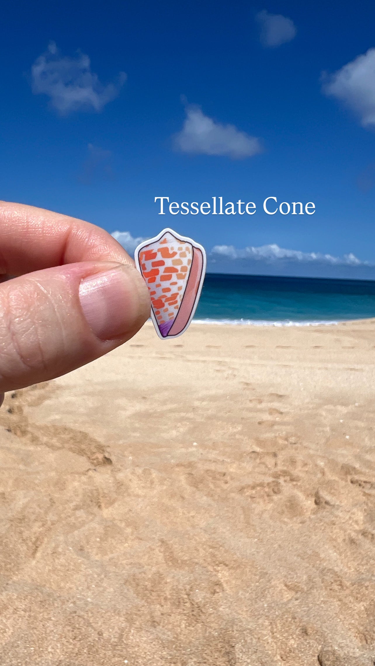 Mini Seashell Stickers