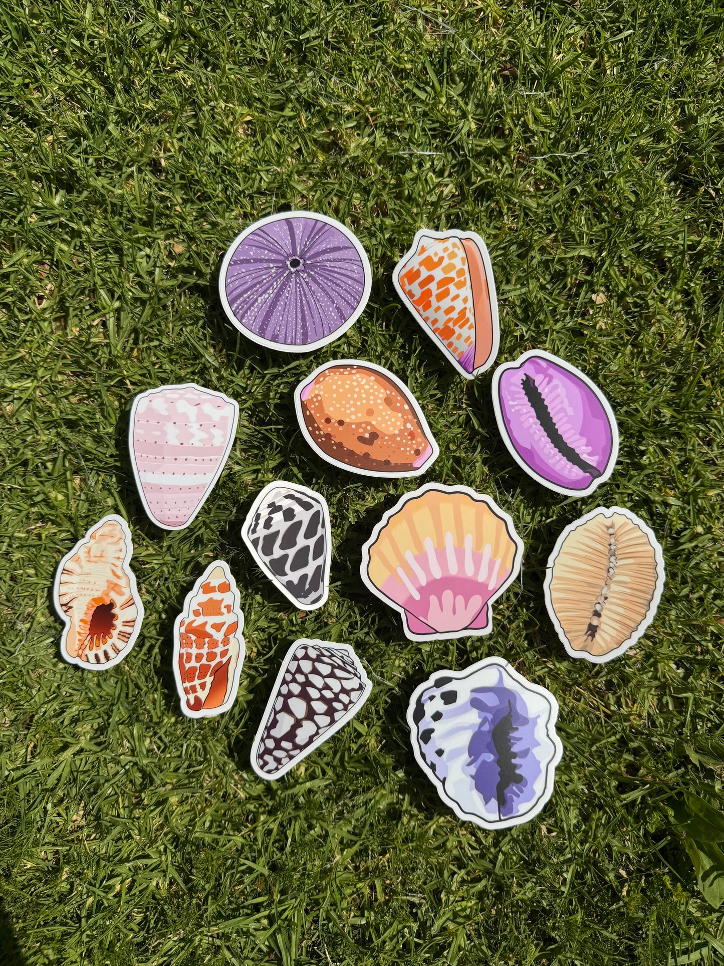 Seashell Stickers