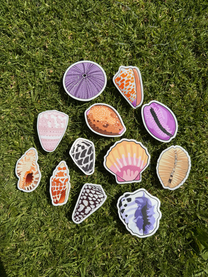 Seashell Stickers