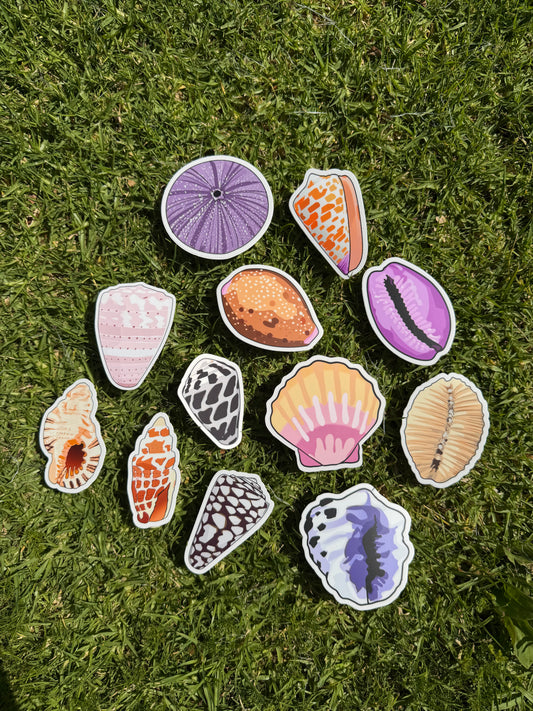 Seashell Stickers