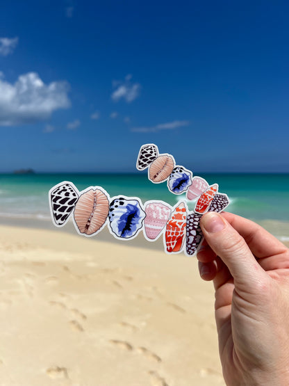 Shell Line Sticker