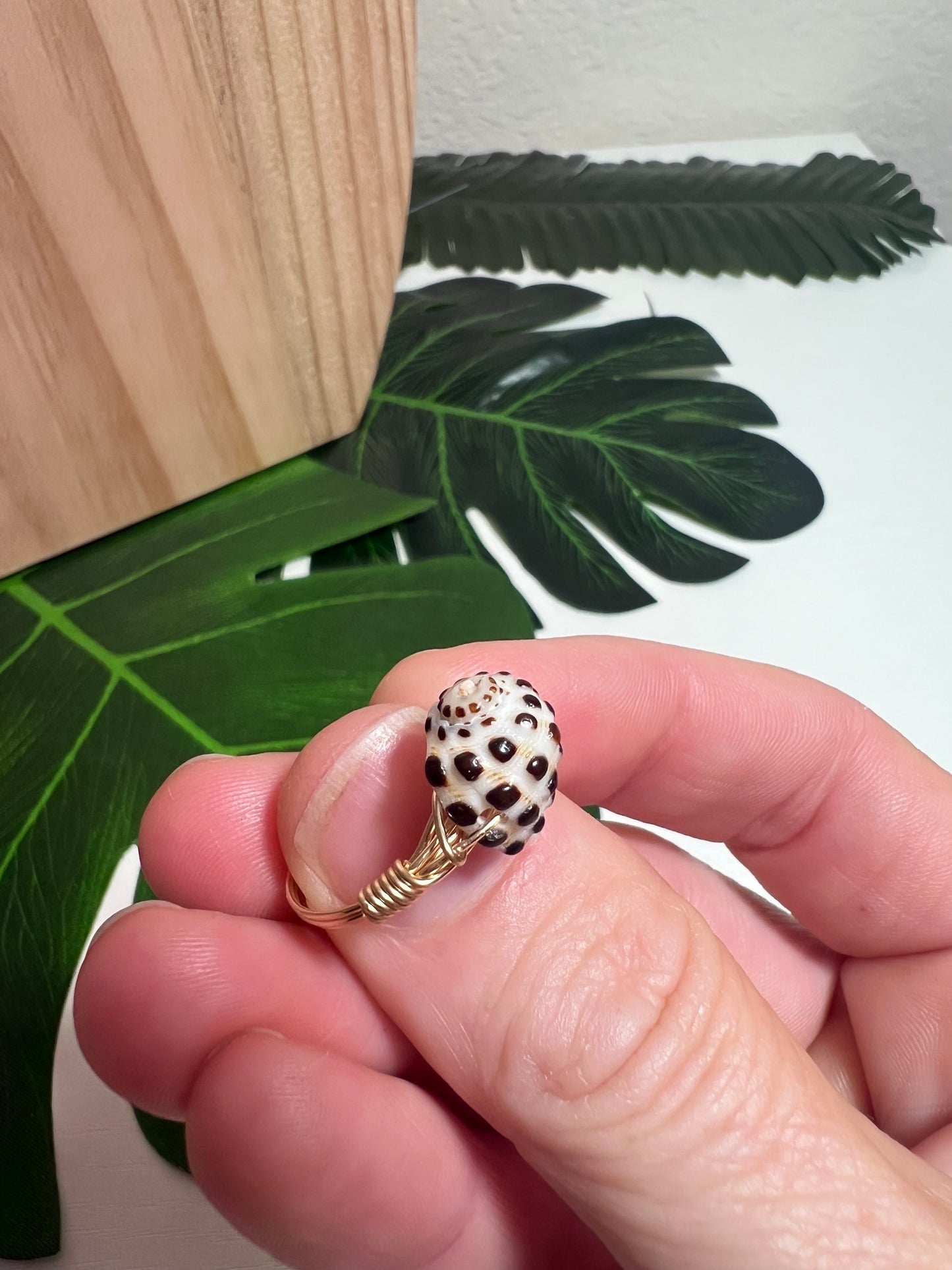 Drupe Ring - Gold Filled - Size 7