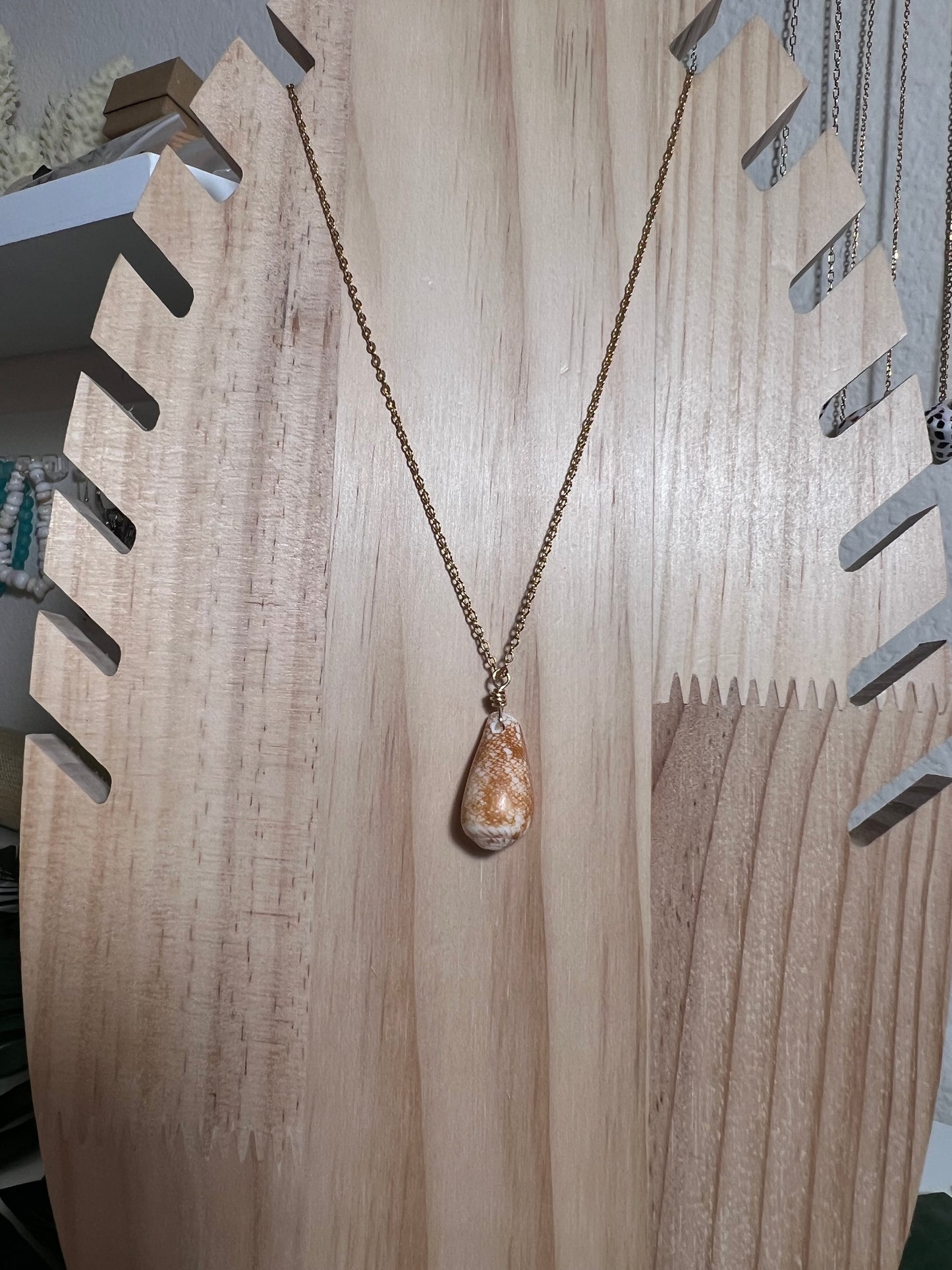 Penniform Cone Shell Necklace