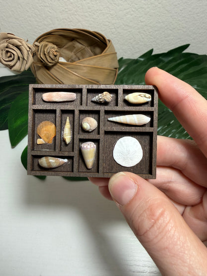 Tiny Treasure Tray