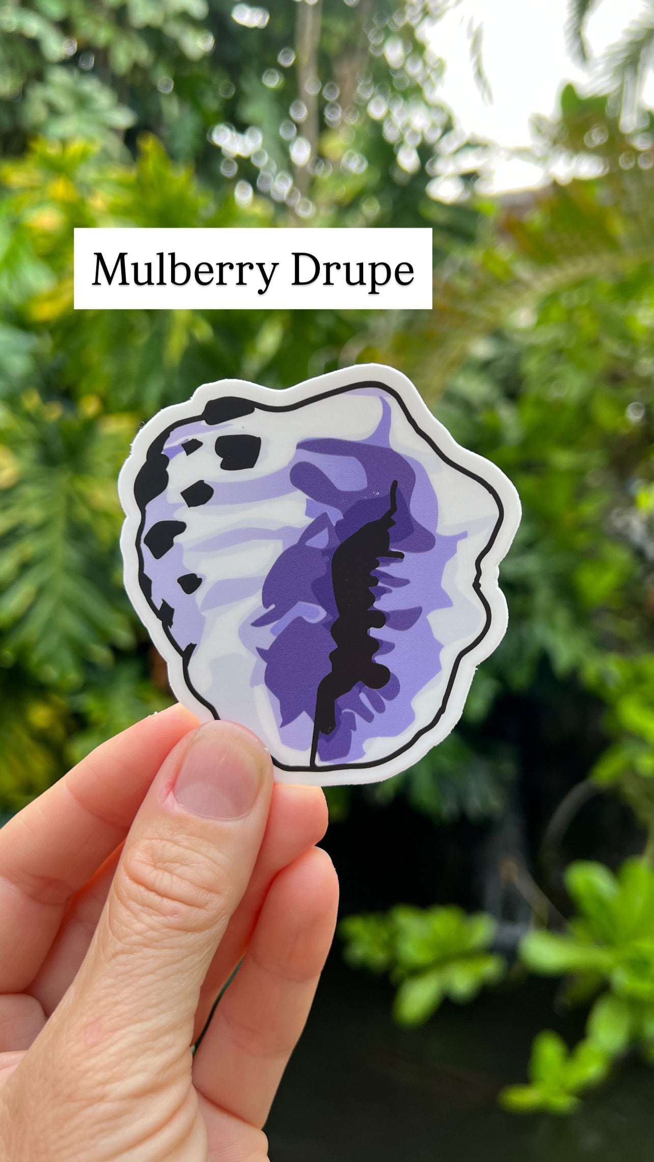 Seashell Stickers