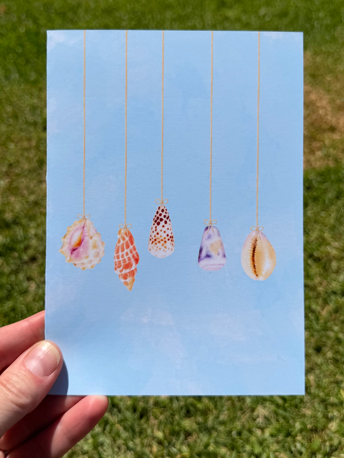 Watercolor Seashell Ornament Christmas Cards