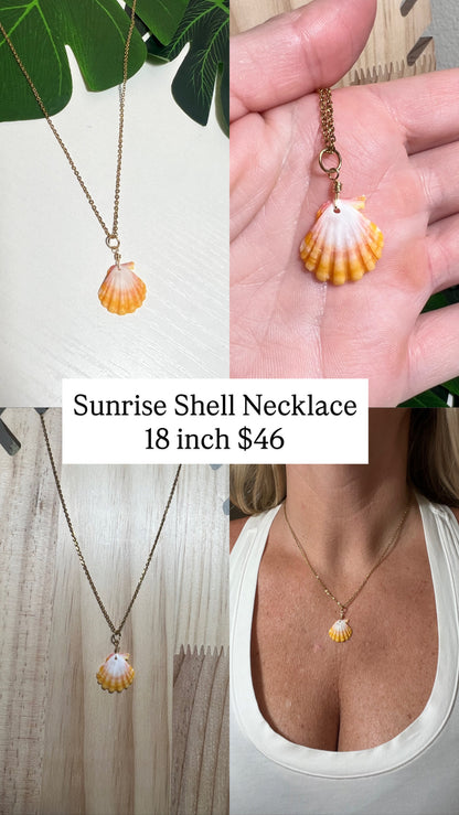 Sunrise Shell Necklace
