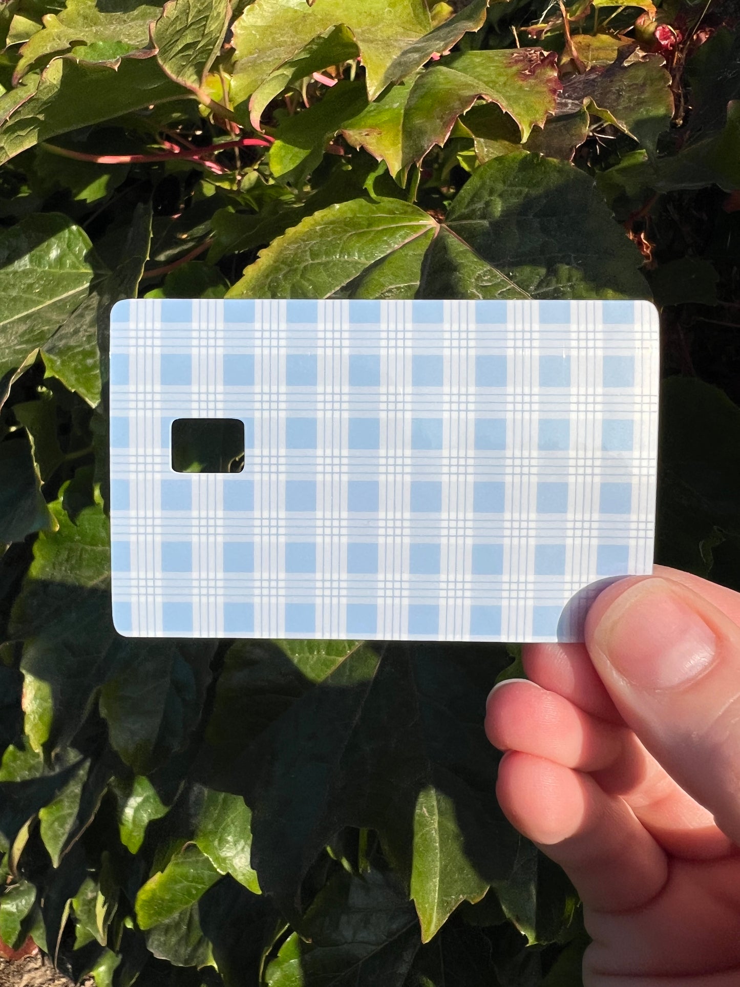 Palaka Card Skins