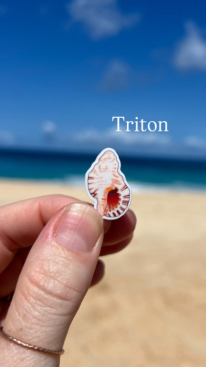 Mini Seashell Stickers