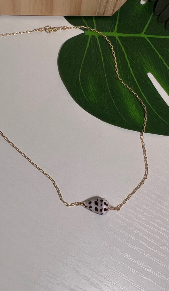 Hebrew Cone Shell Necklace
