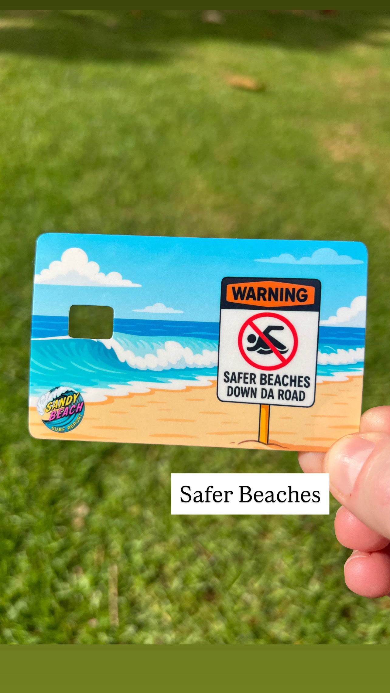 Sandy Beach Surf Report Card Skins