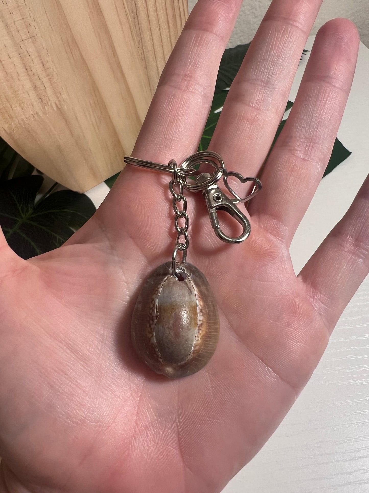 Snakehead Cowry Keychain