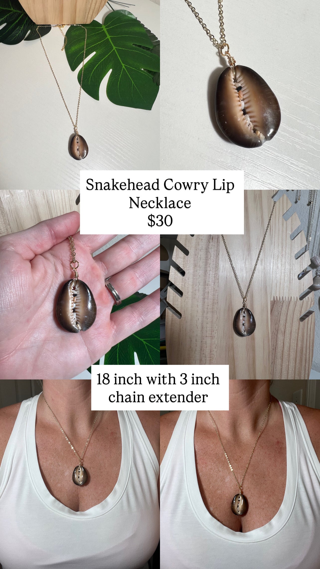 Snakehead Cowry Lip Necklace