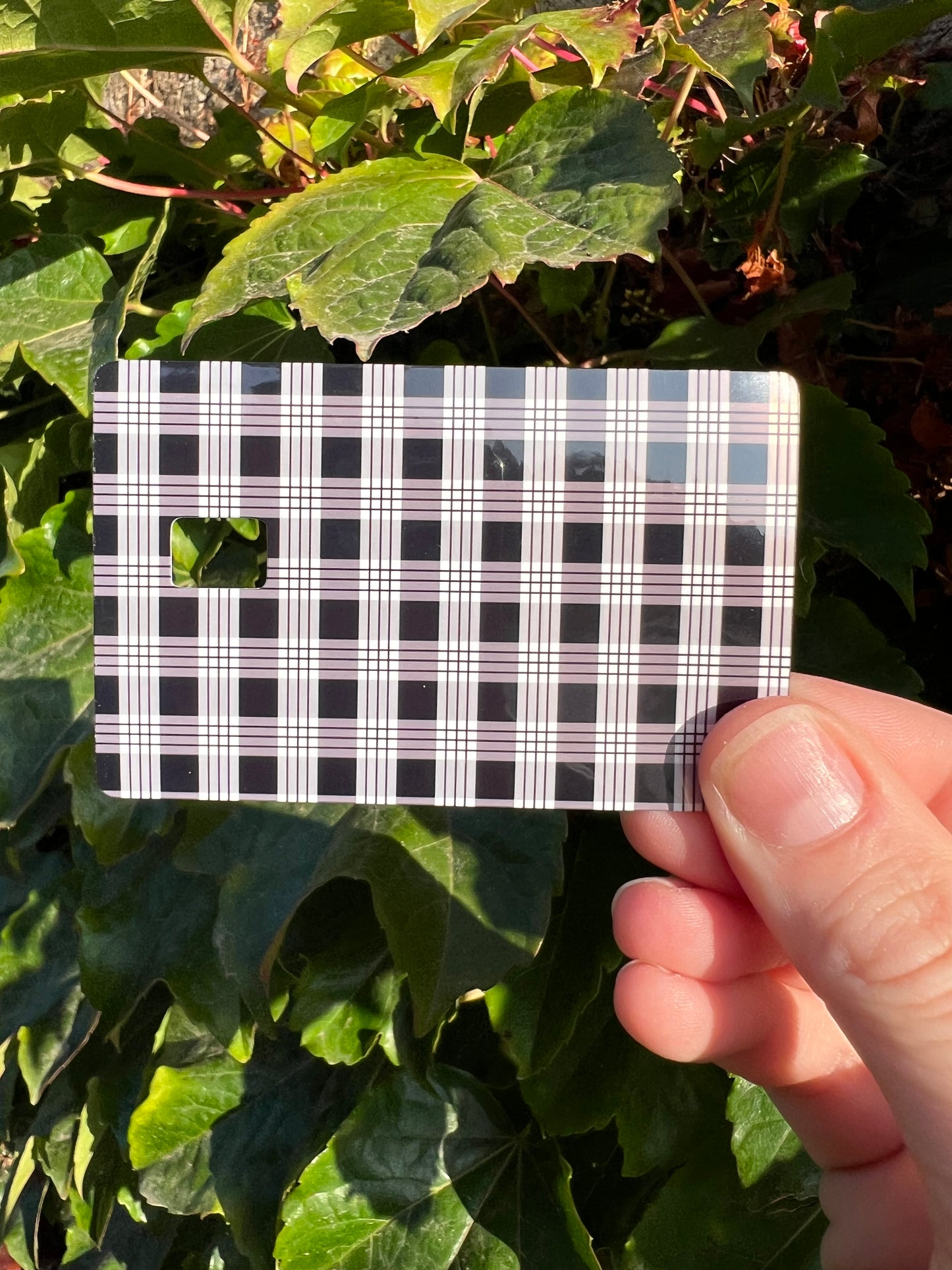 Palaka Card Skins