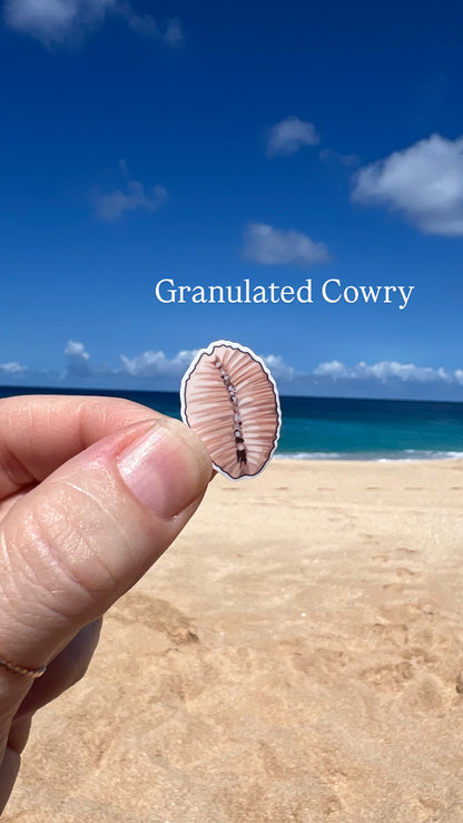 Mini Seashell Stickers