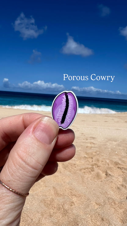 Mini Seashell Stickers