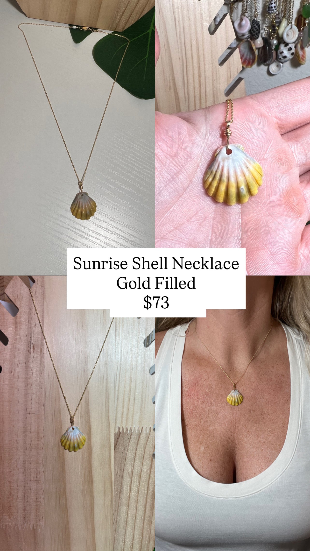 Rare Unique Sunrise Shell Necklace - Gold Filled