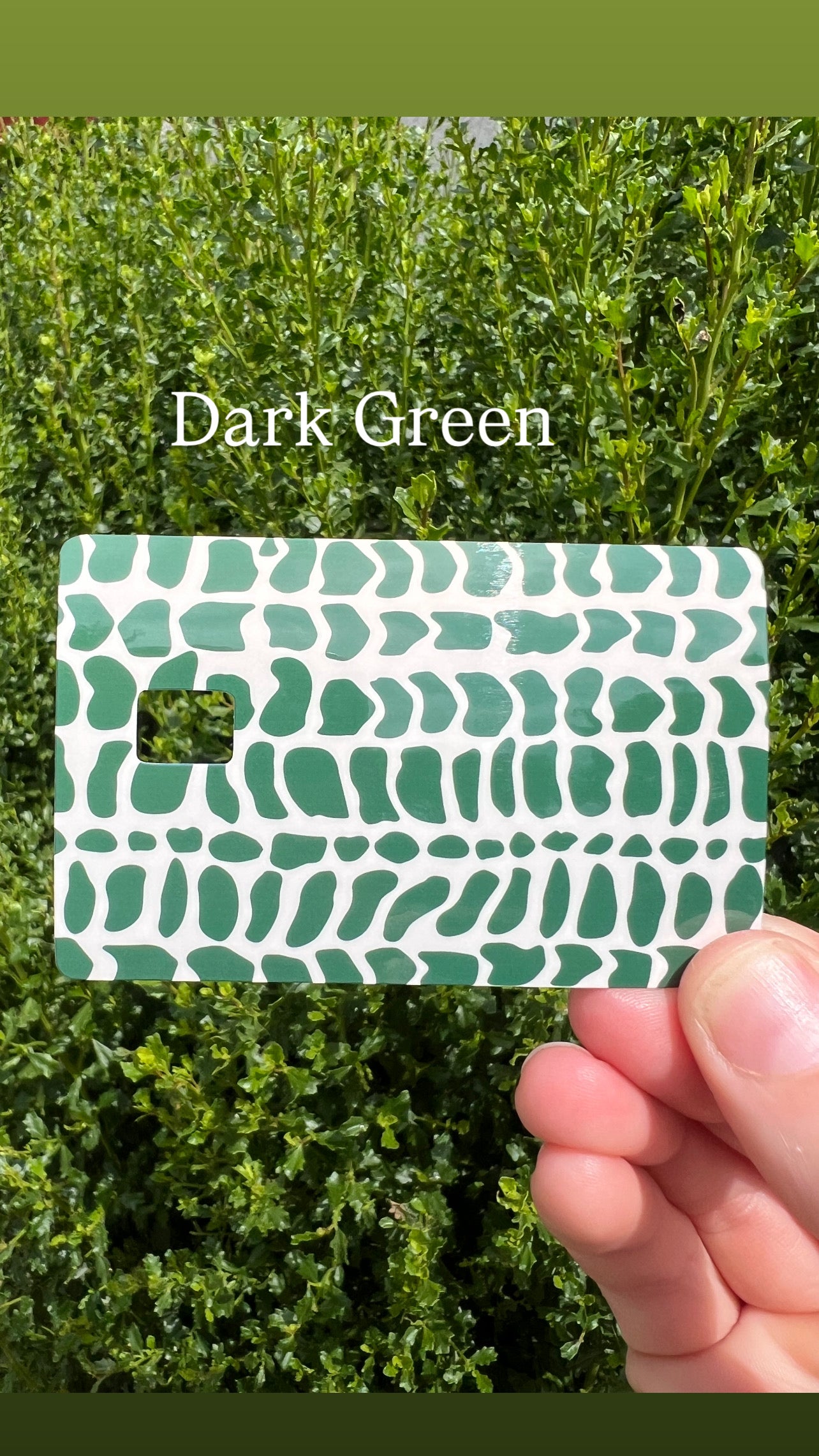 Hebrew Cone Shell Pattern Card Skins
