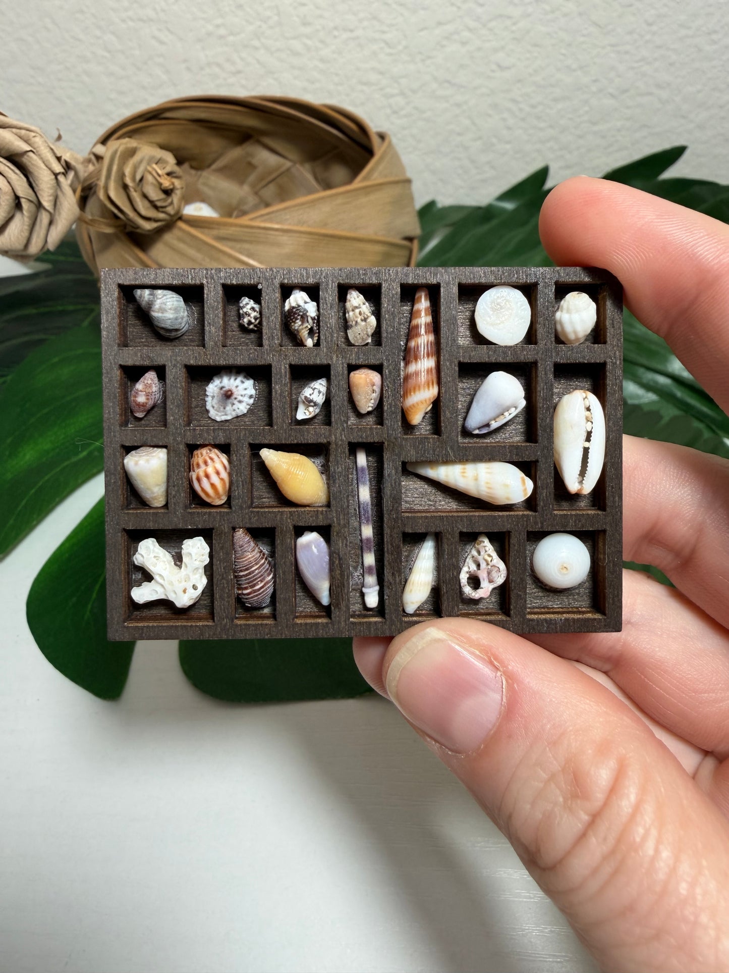 Tiny Treasure Tray