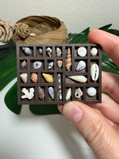 Tiny Treasure Tray