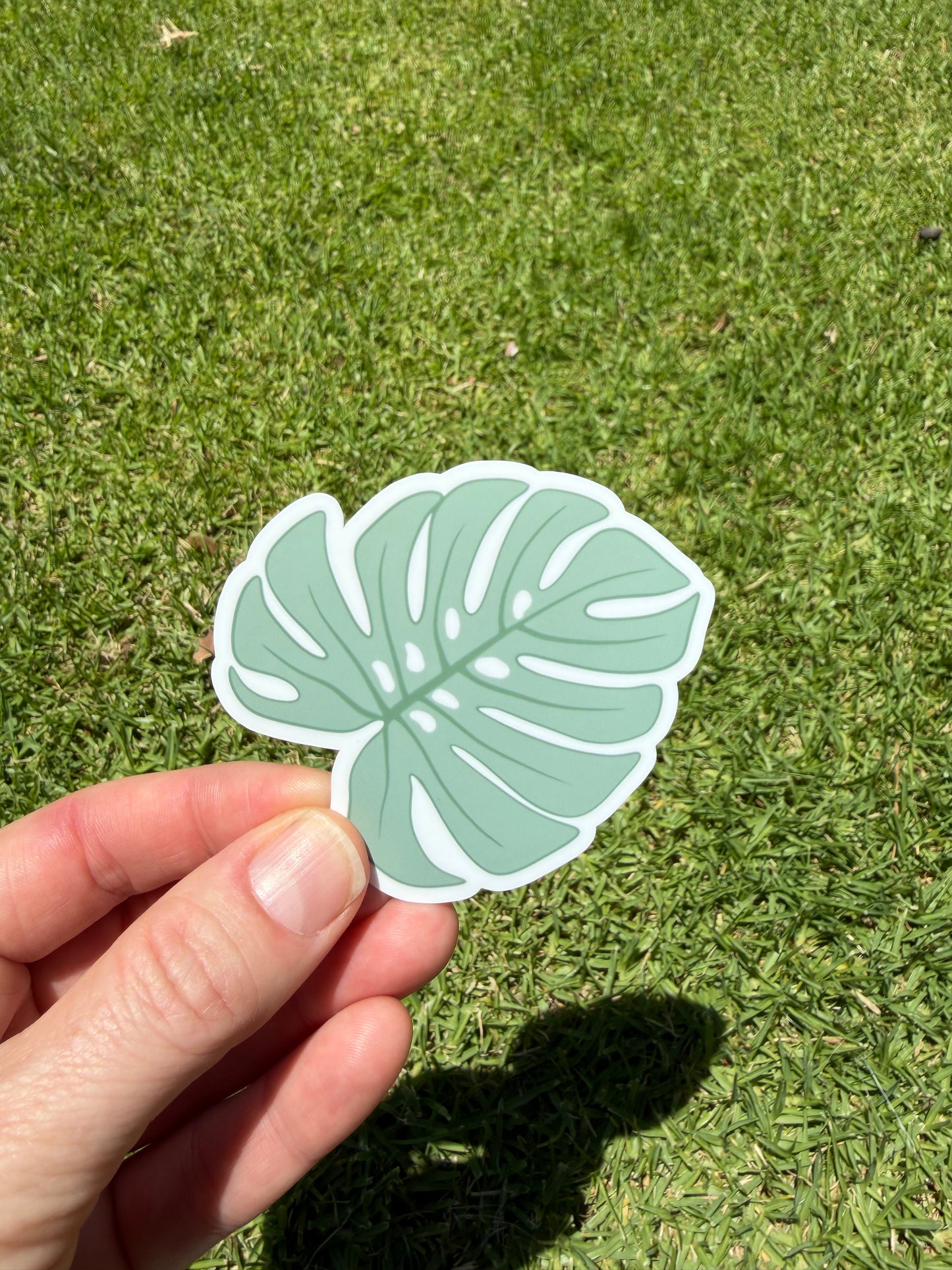 Monstera Leaf Sticker