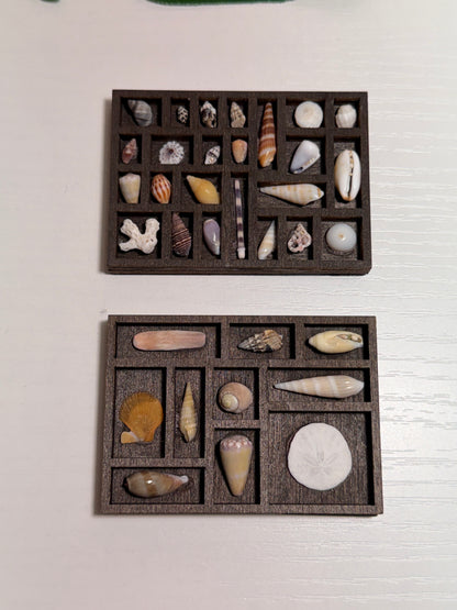 Tiny Treasure Tray