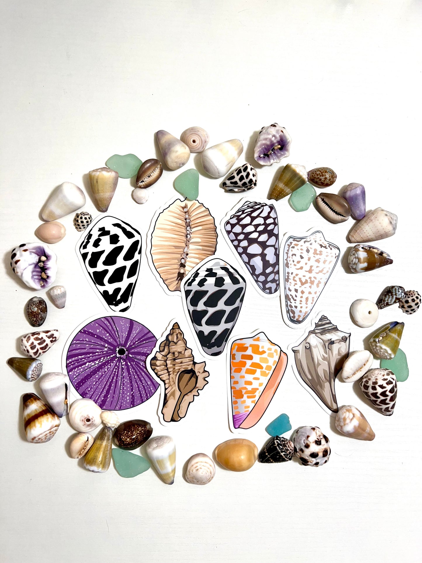 Seashell Stickers