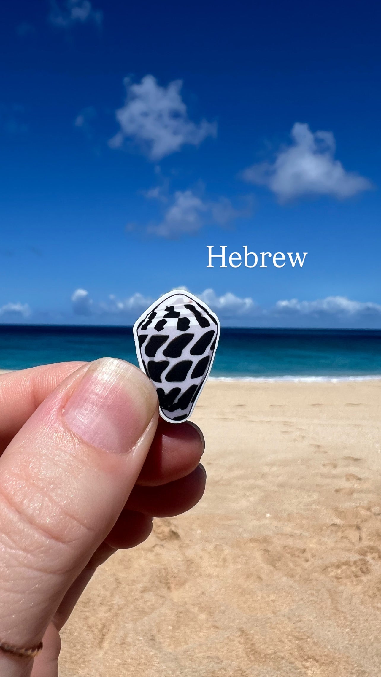 Mini Seashell Stickers