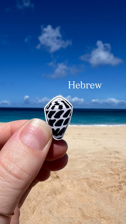 Mini Seashell Stickers