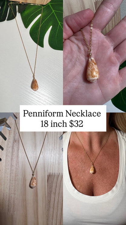 Penniform Cone Shell Necklace