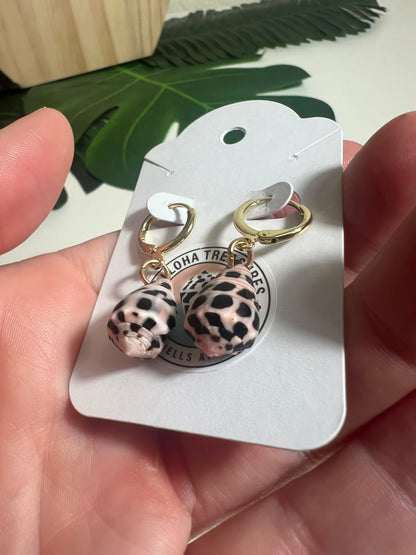 Hebrew Cone Shell Huggie Earrings