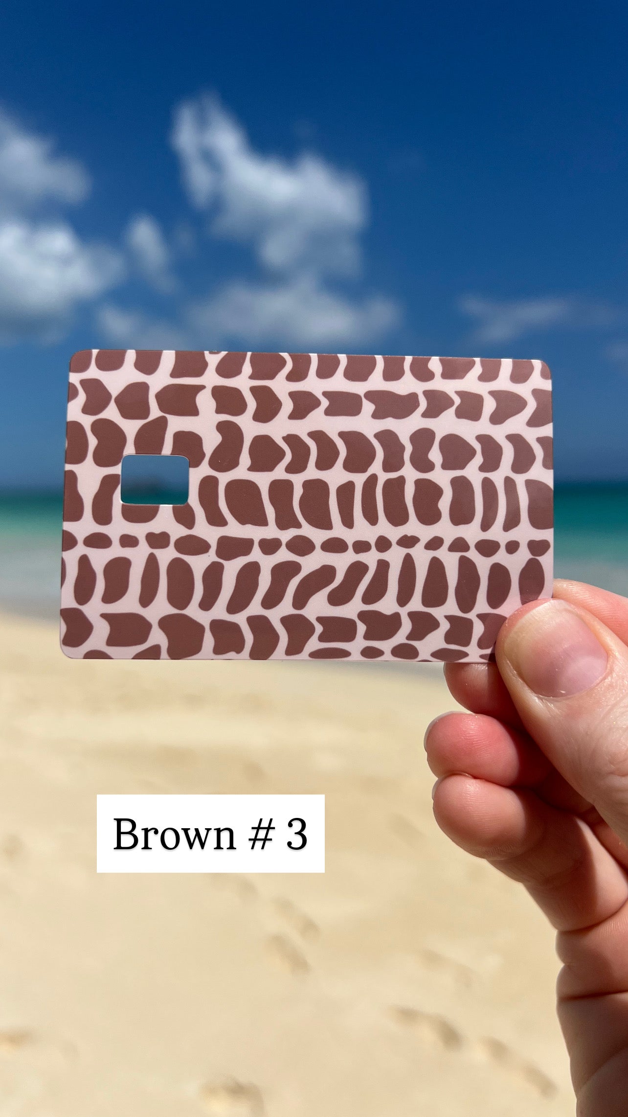 Hebrew Cone Shell Pattern Card Skins