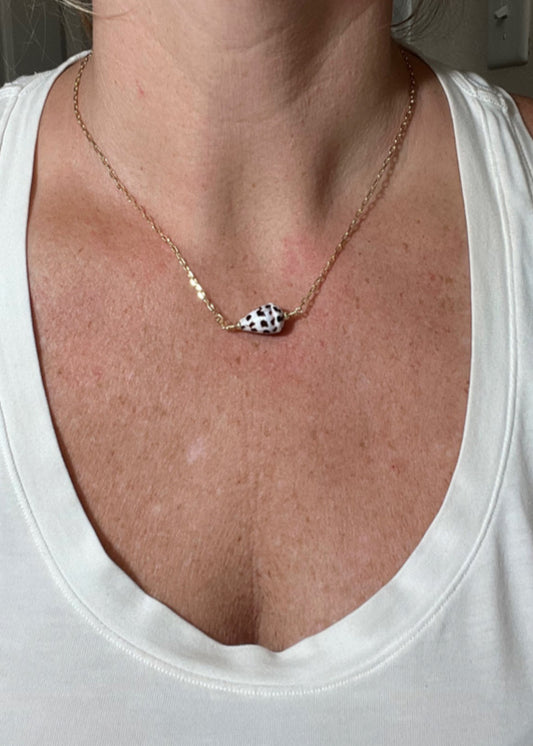 Hebrew Cone Shell Necklace