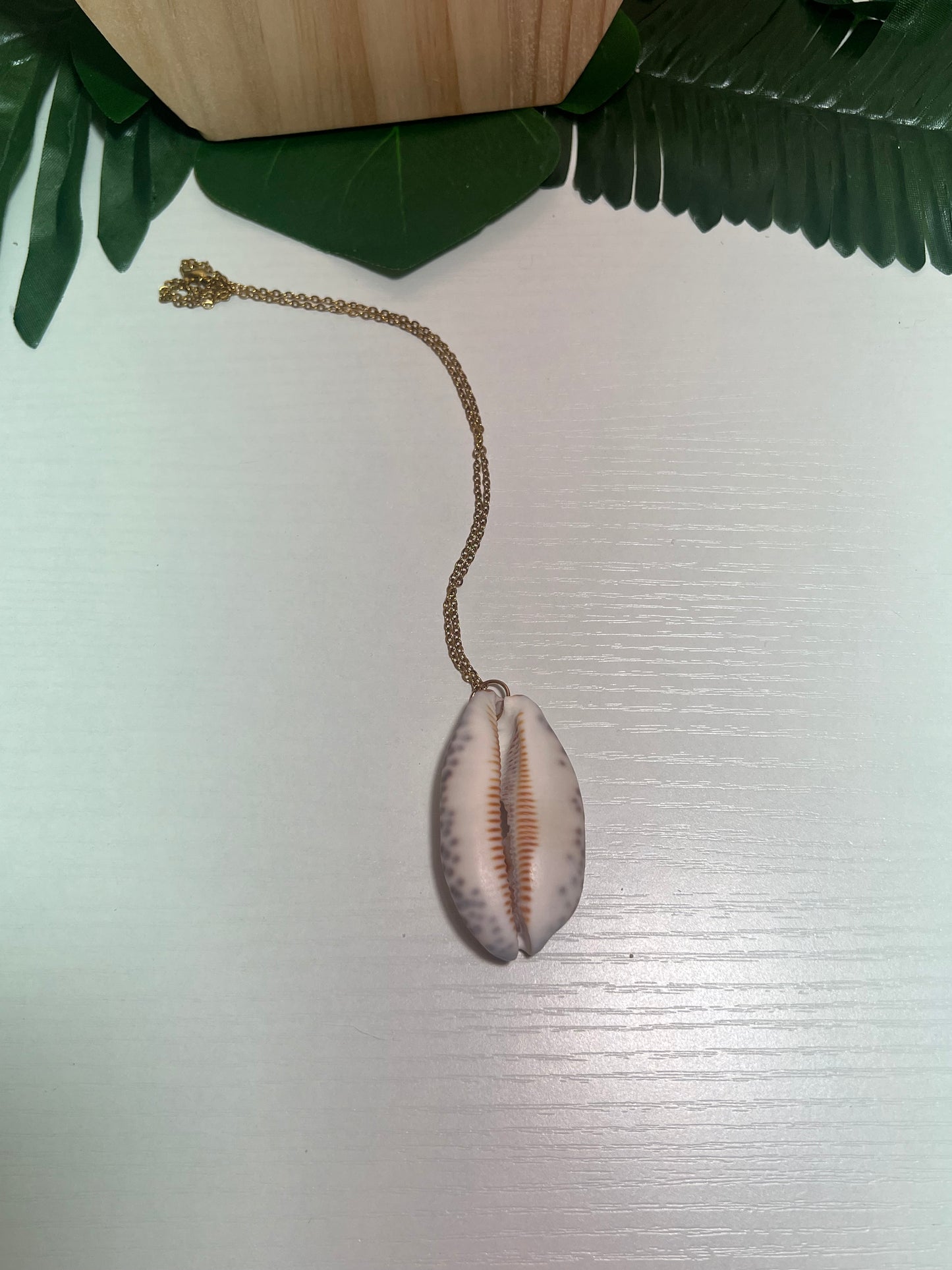 Tiger Cowry Lip Necklace