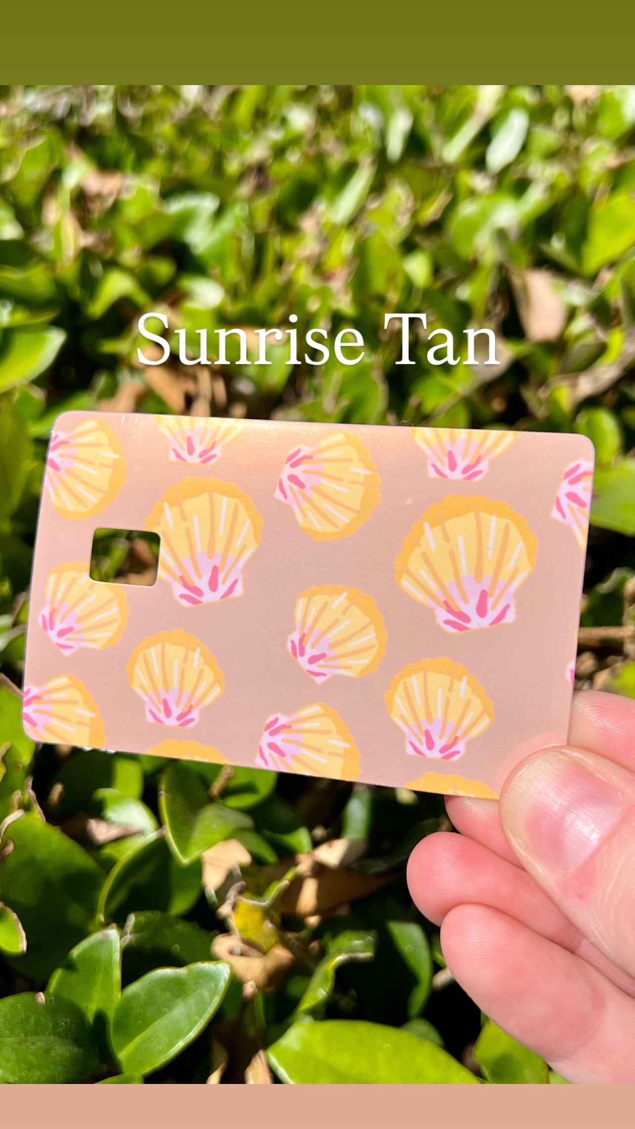 Seashell Card Skins