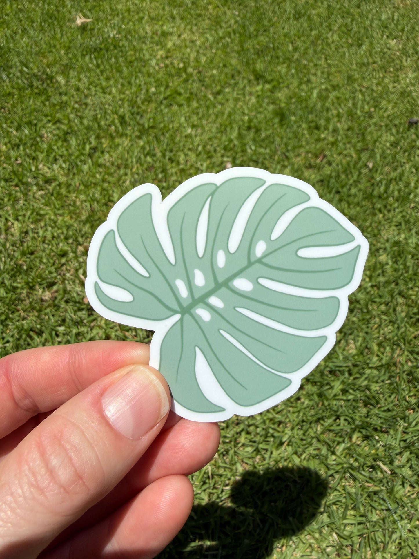 Monstera Leaf Sticker
