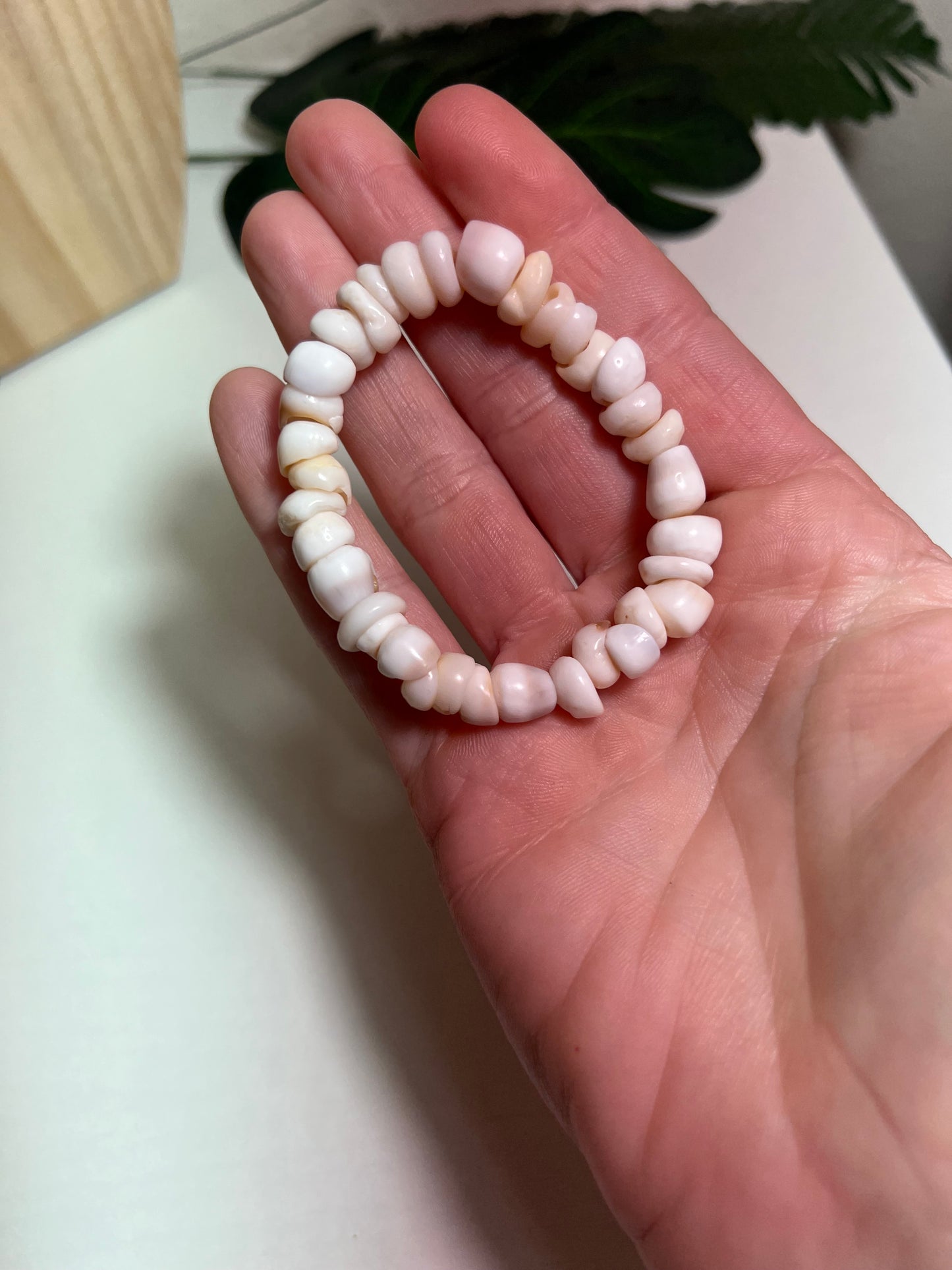 Puka Shell Bracelet