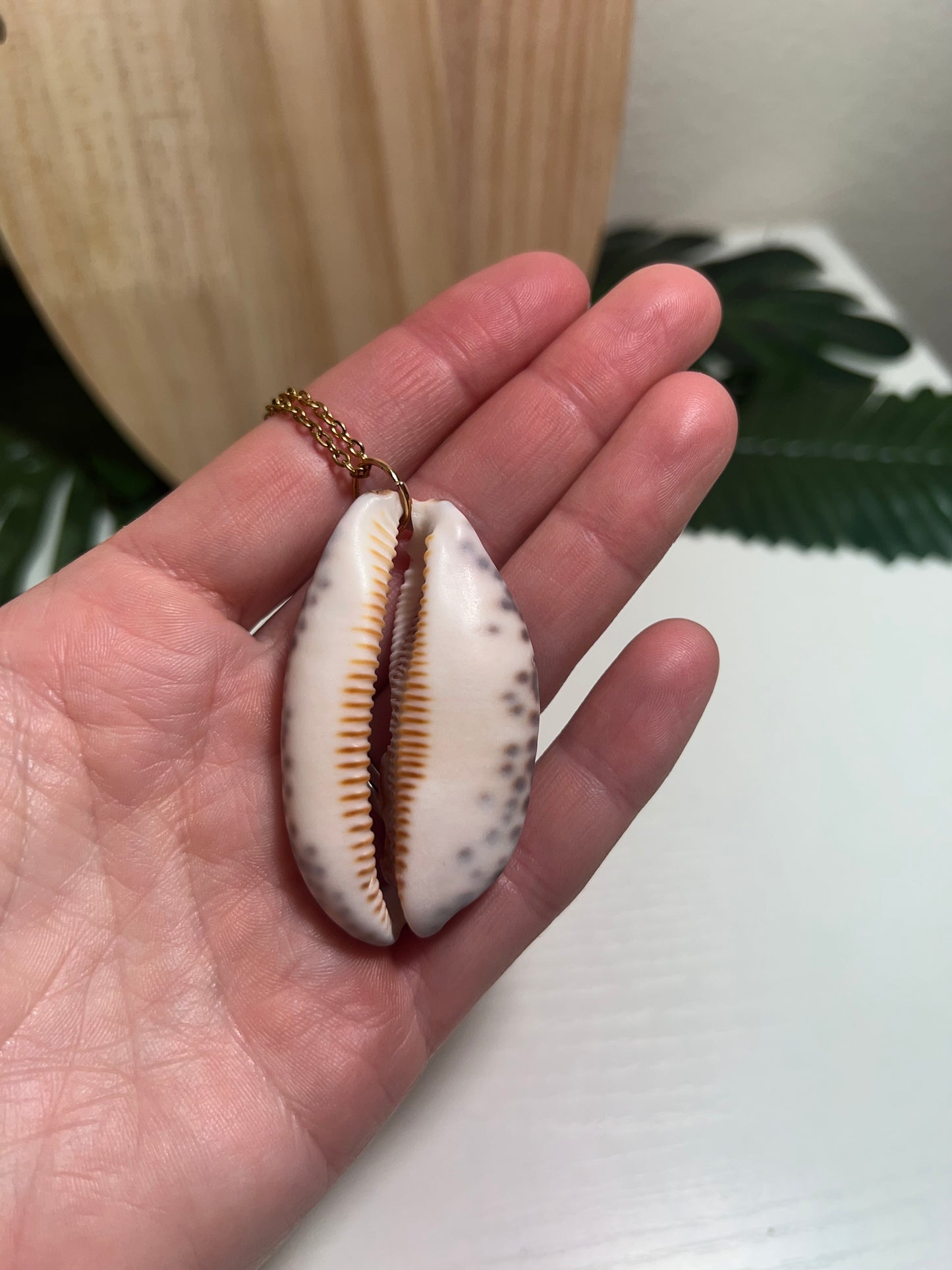 Tiger Cowry Lip Necklace