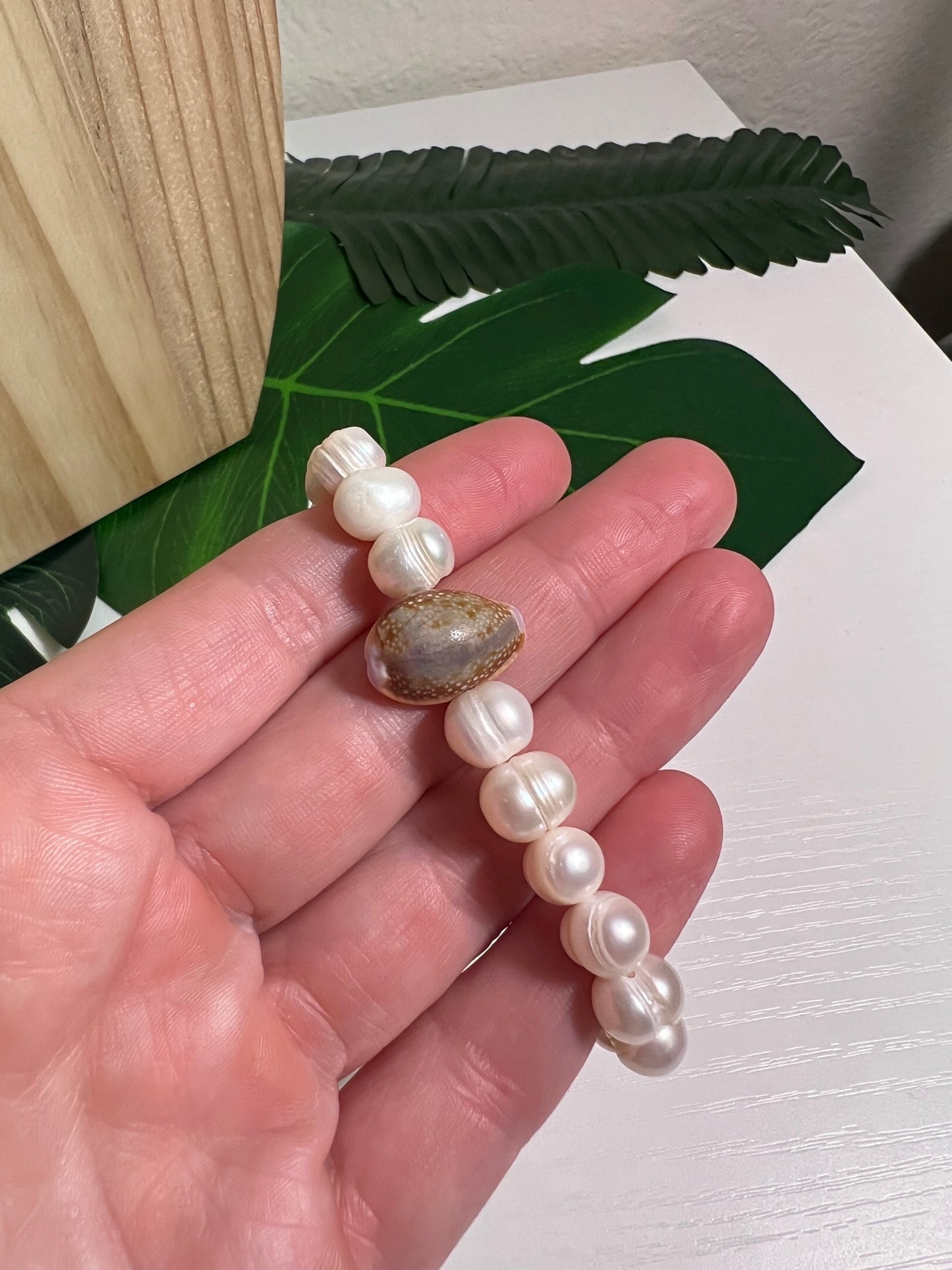 Honey Cowry and Pearl Stretch Bracelet