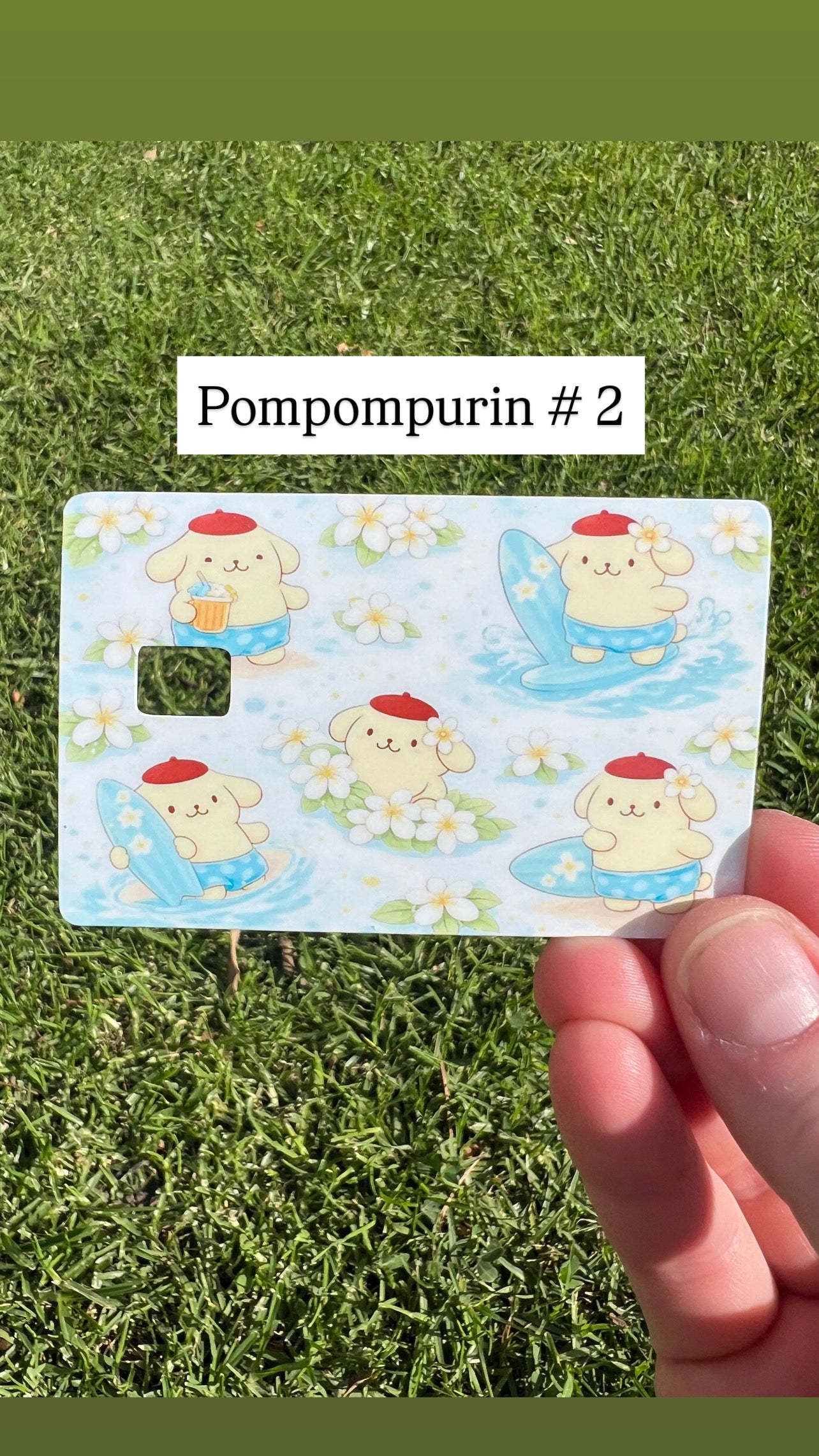 Sanrio Collection Card Skins