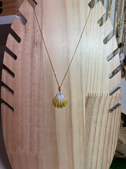 Rare Unique Sunrise Shell Necklace - Gold Filled