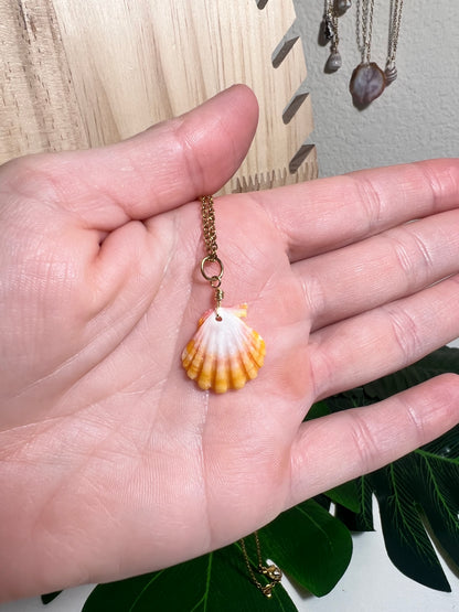 Sunrise Shell Necklace
