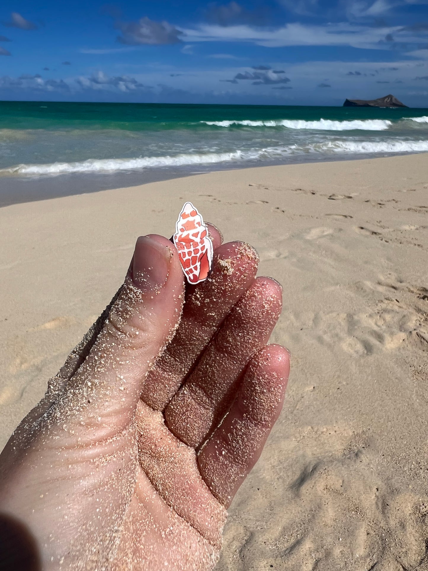 Mini Seashell Stickers