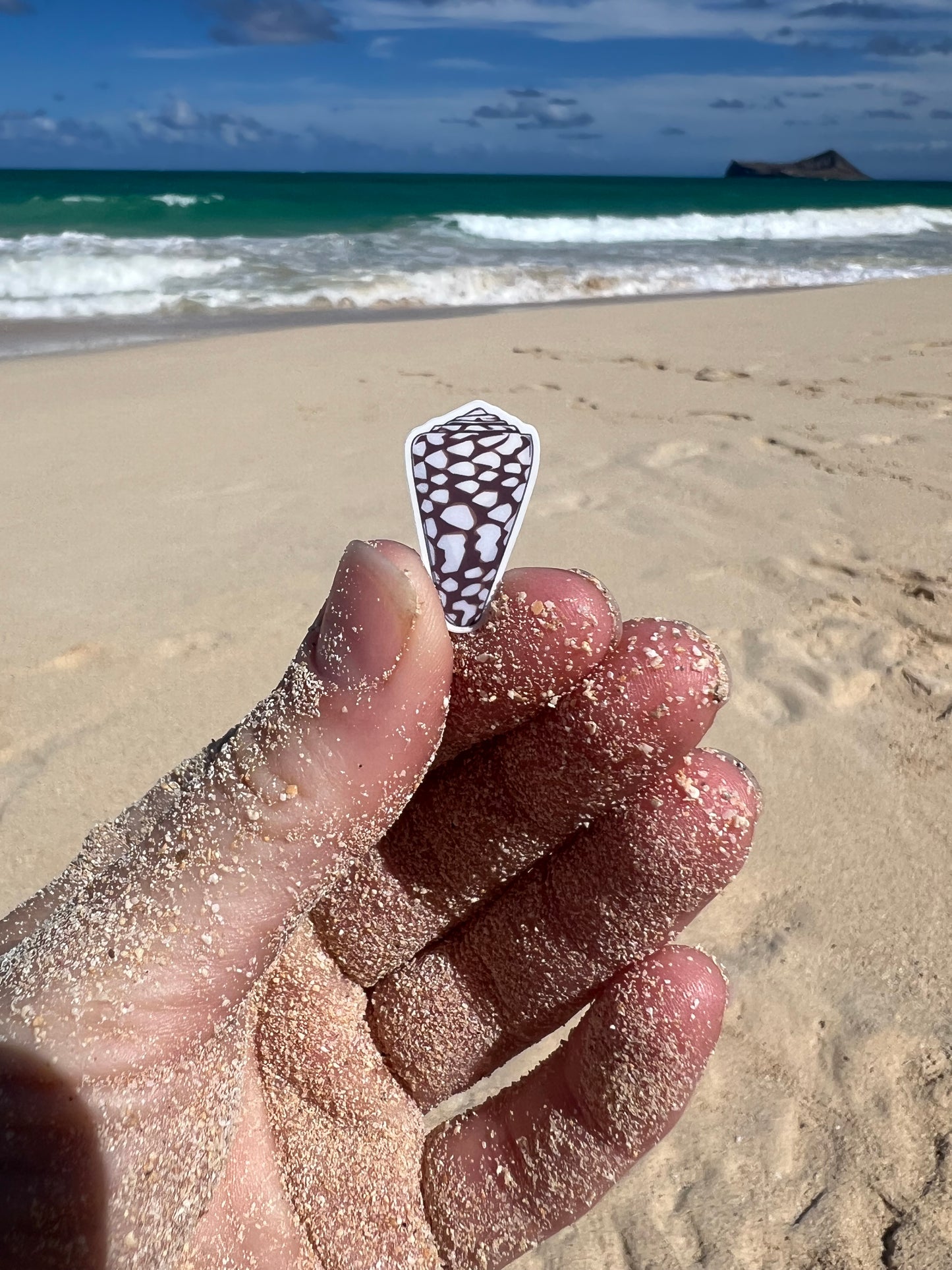 Mini Seashell Stickers