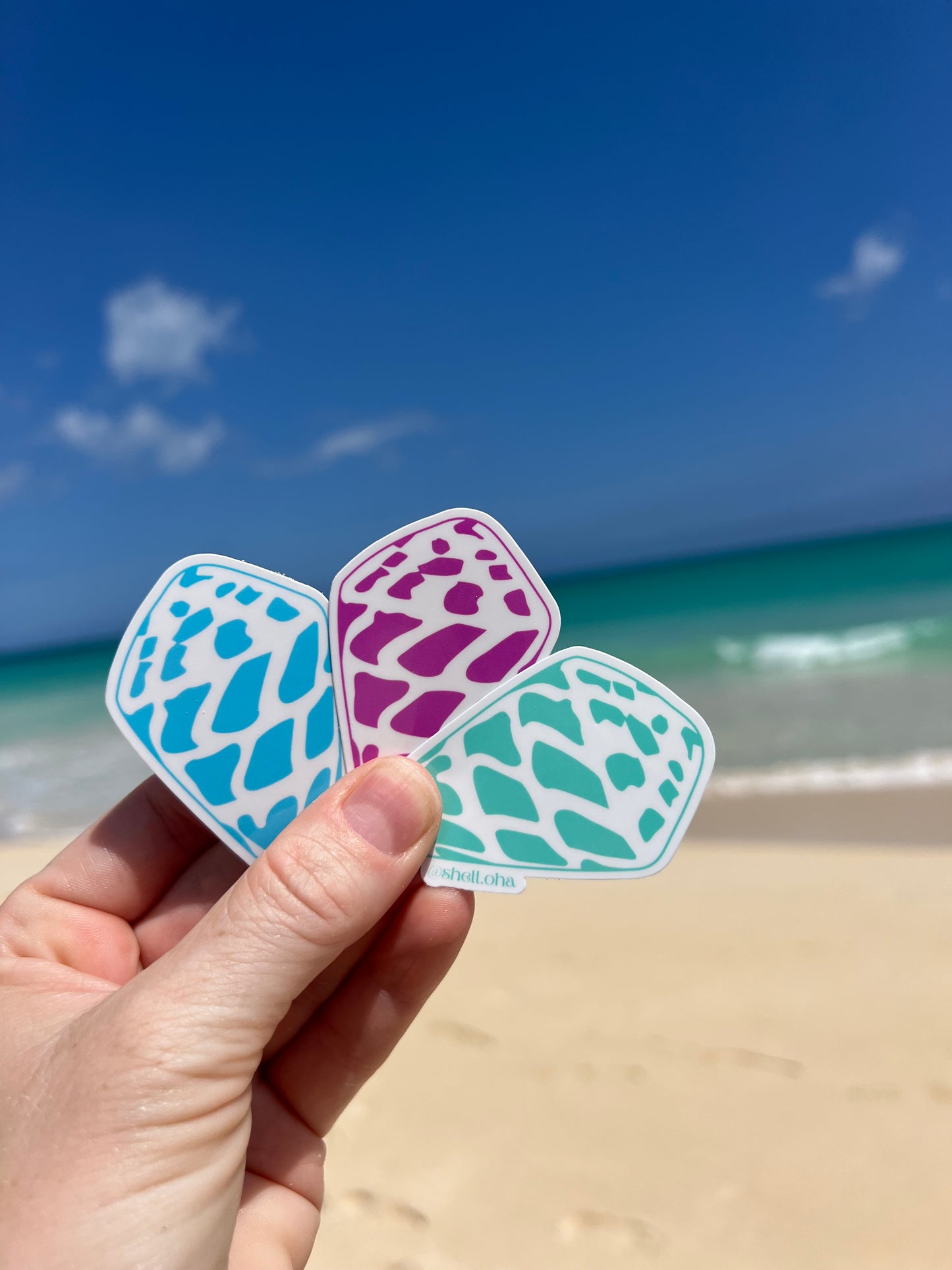 Neon Hebrew Cone Shell Stickers