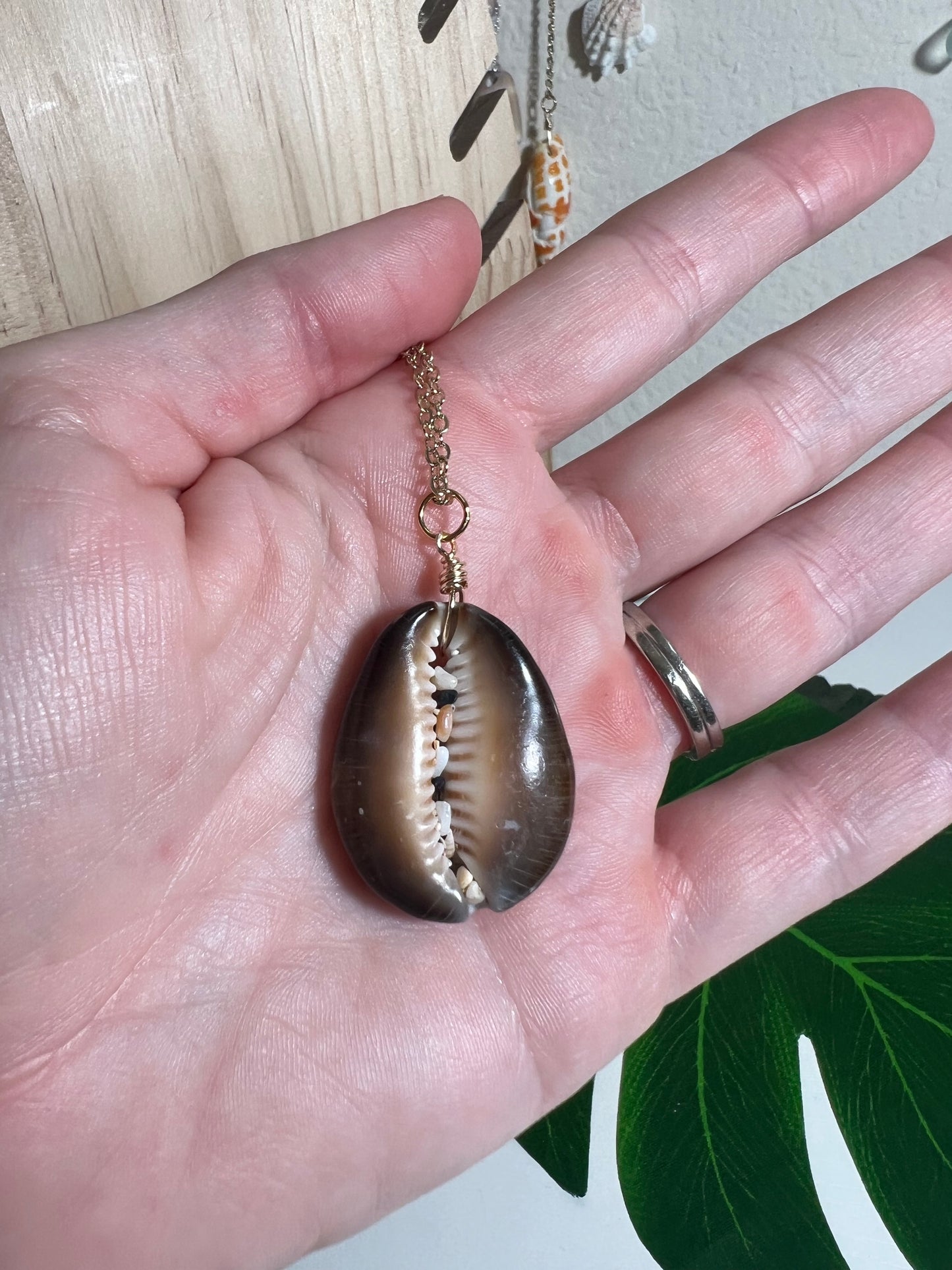 Snakehead Cowry Lip Necklace
